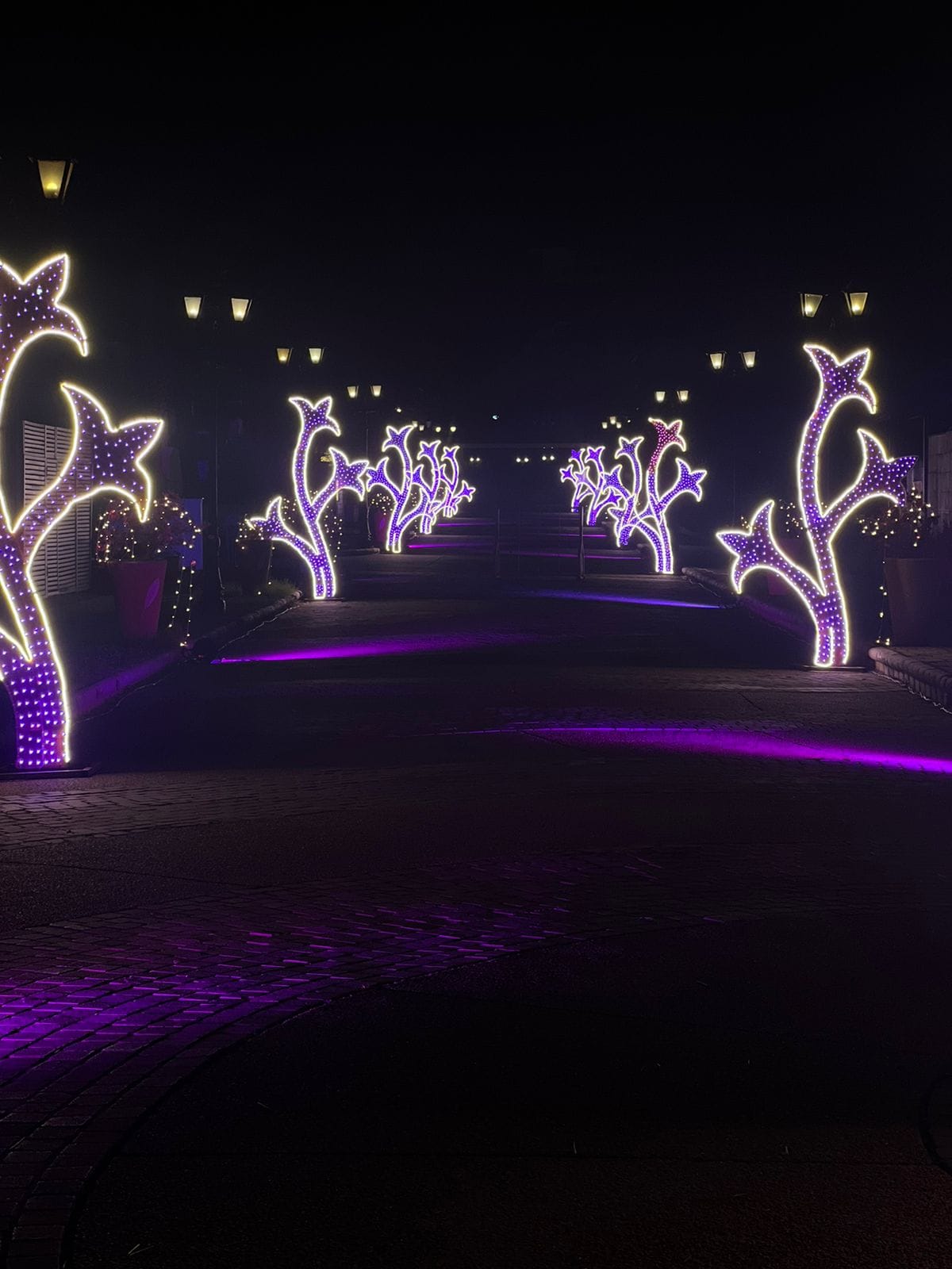 Luminous Star-Lit Pathway