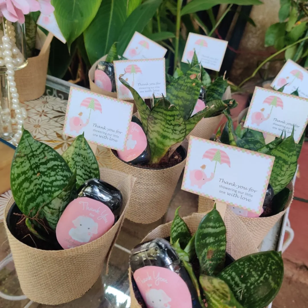 Baby Shower Green Favors